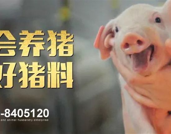 bet手机官网（中国）股份有限公司2024年2月饲料原料运输招标公告